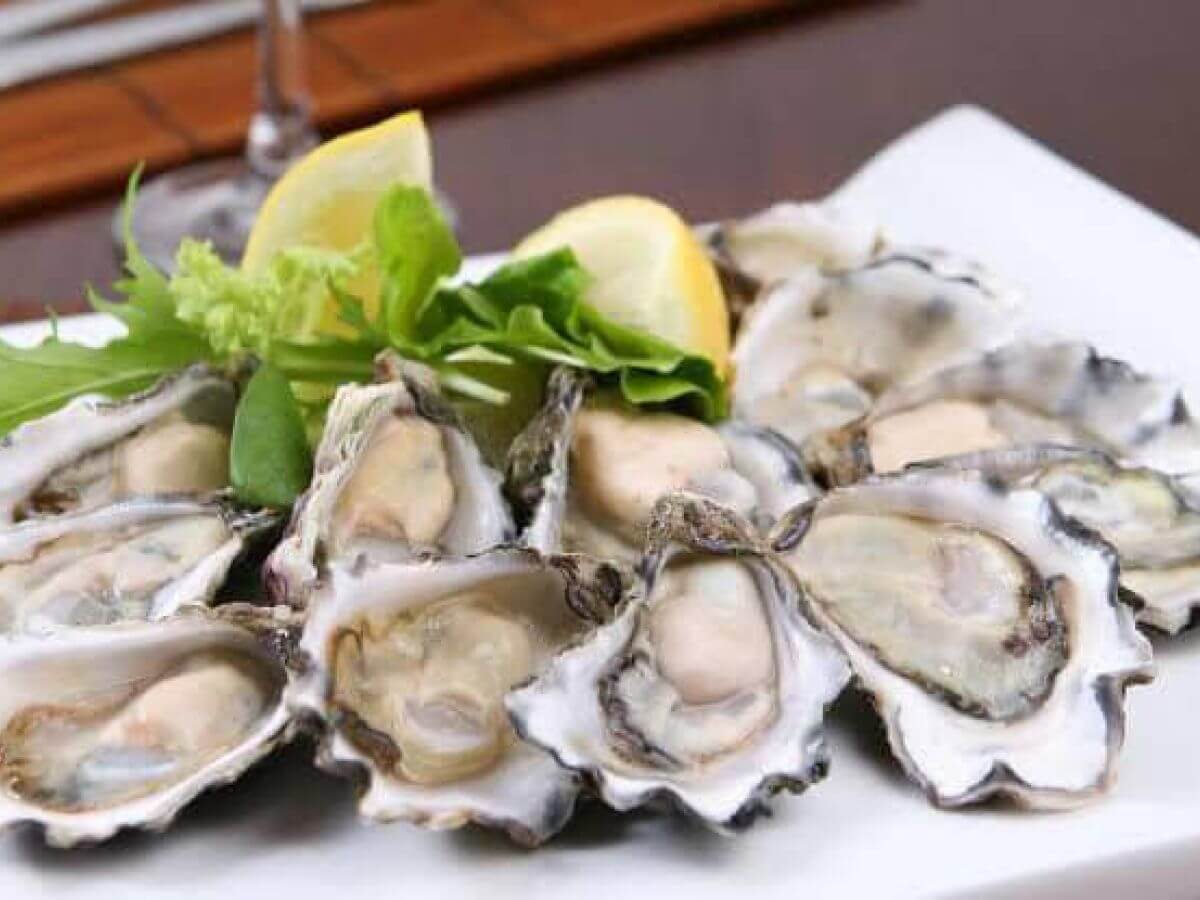 Brisbane Water Oyster Festival Festivals Love Central Coast